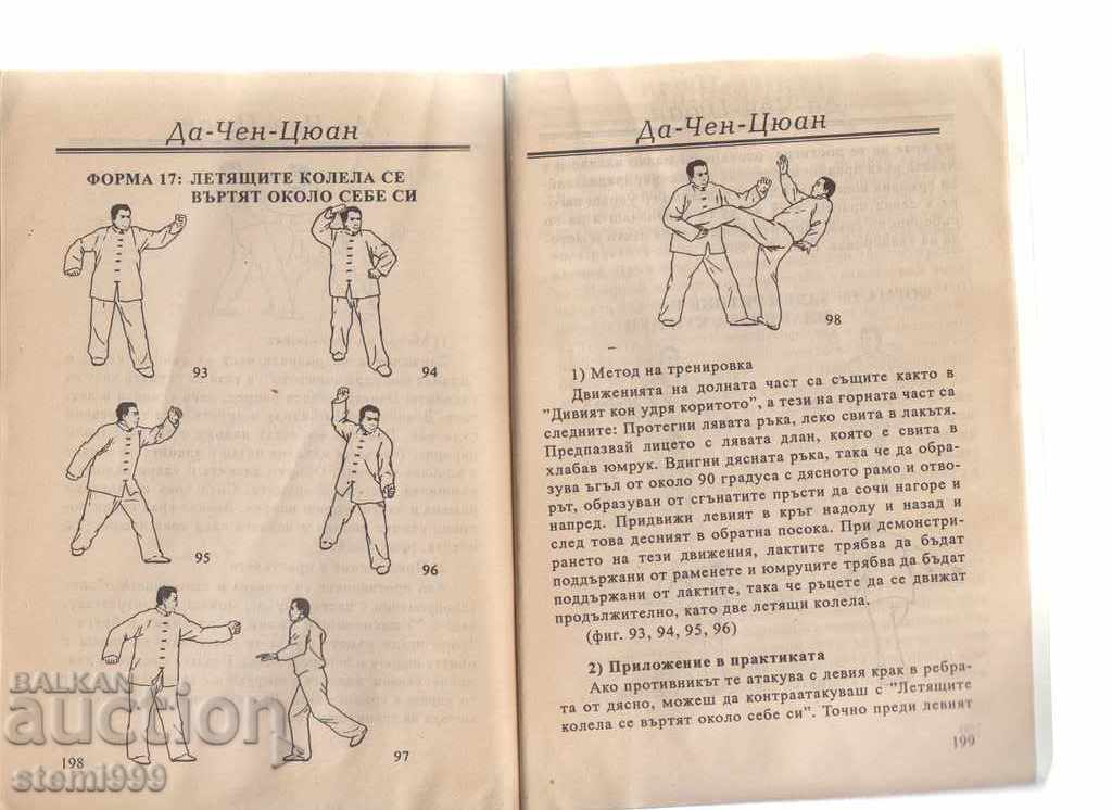 Self-taught book on Da Chen Quan Martial Arts - 7
