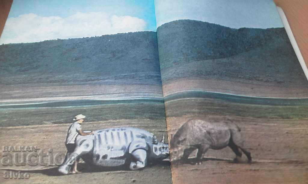 Among the animals of Africa photo experiments - 5 Among the animals of Africa photo experiments - 5