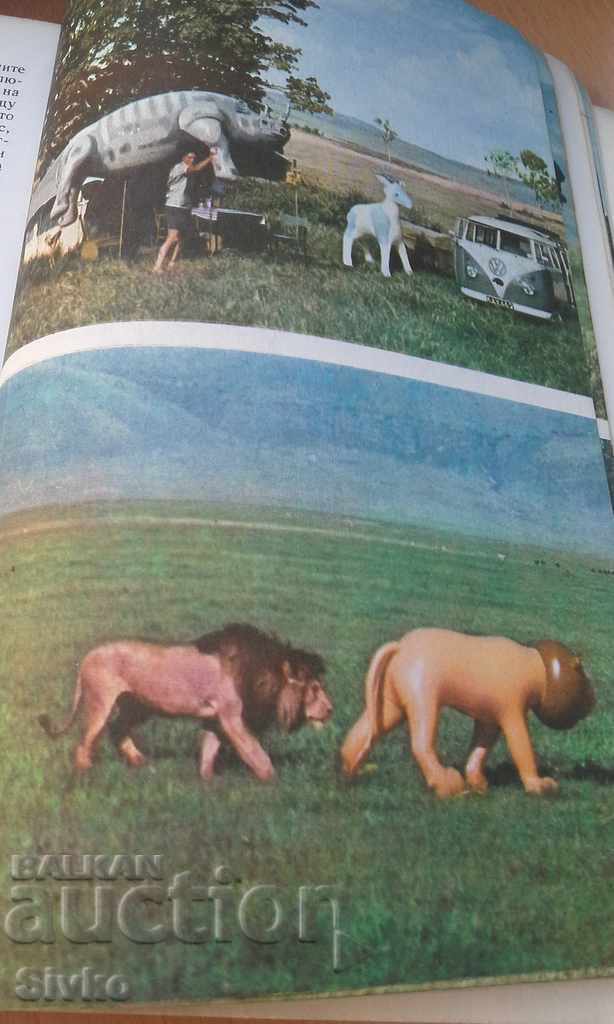 Among the animals of Africa photo experiments - 7 Among the animals of Africa photo experiments - 7