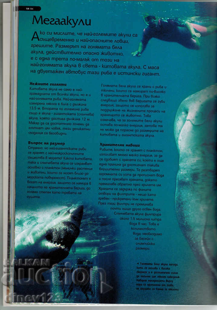 Knowledge Library - GIANT ANIMALS - 5