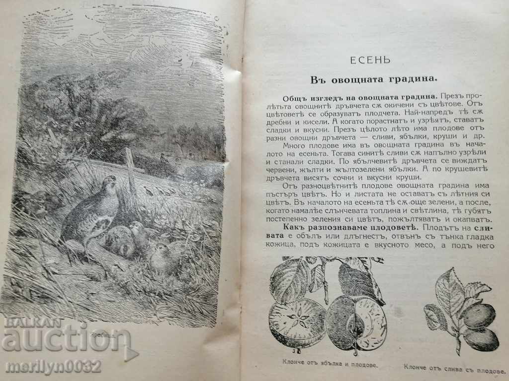 Δημοπρασία Βιβλίο εγχειριδίου Φυσικές επιστήμες Βασίλειο της Βουλγαρίας Δημοπρασία Βιβλίο εγχειριδίου Φυσικές επιστήμες Βασίλειο της Βουλγαρίας