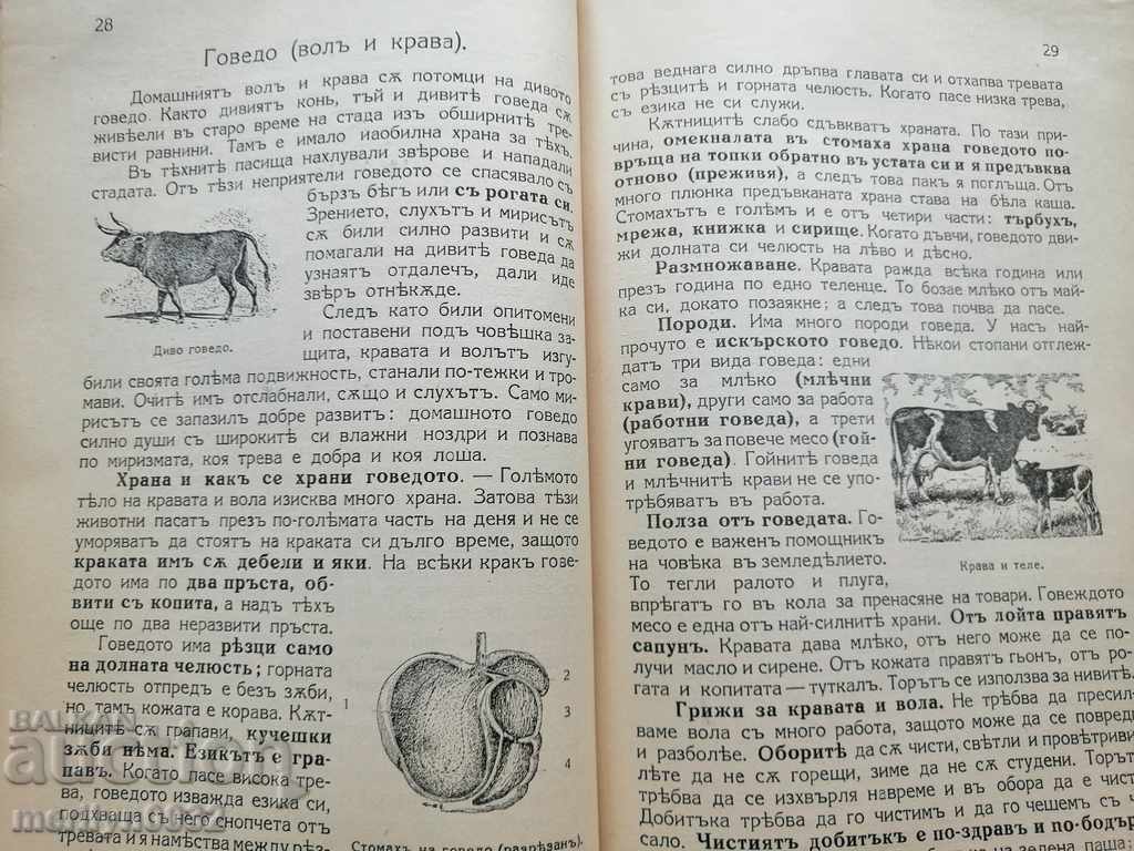 Παράδοση Βιβλίο εγχειριδίου Φυσικές επιστήμες Βασίλειο της Βουλγαρίας Παράδοση Βιβλίο εγχειριδίου Φυσικές επιστήμες Βασίλειο της Βουλγαρίας