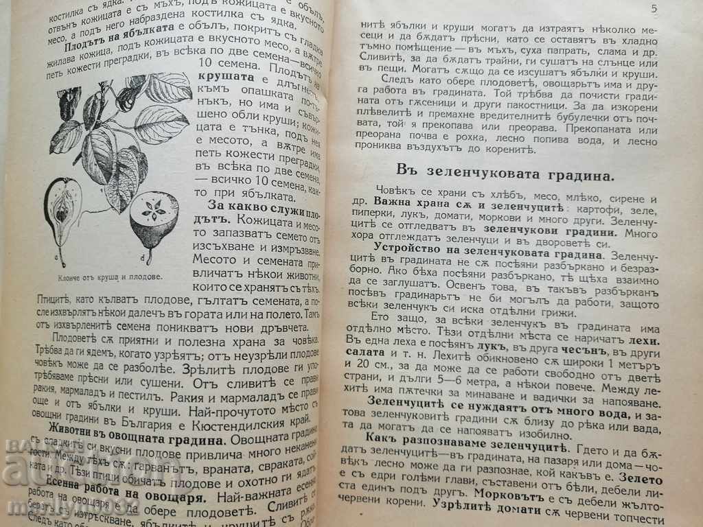 Βιβλίο εγχειριδίου Φυσικές επιστήμες Βασίλειο της Βουλγαρίας - 5 Βιβλίο εγχειριδίου Φυσικές επιστήμες Βασίλειο της Βουλγαρίας - 5