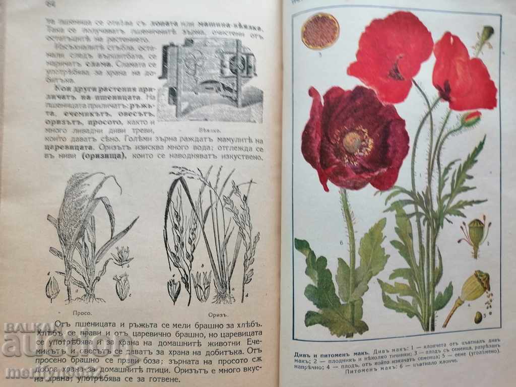 Βιβλίο εγχειριδίου Φυσικές επιστήμες Βασίλειο της Βουλγαρίας - 6 Βιβλίο εγχειριδίου Φυσικές επιστήμες Βασίλειο της Βουλγαρίας - 6