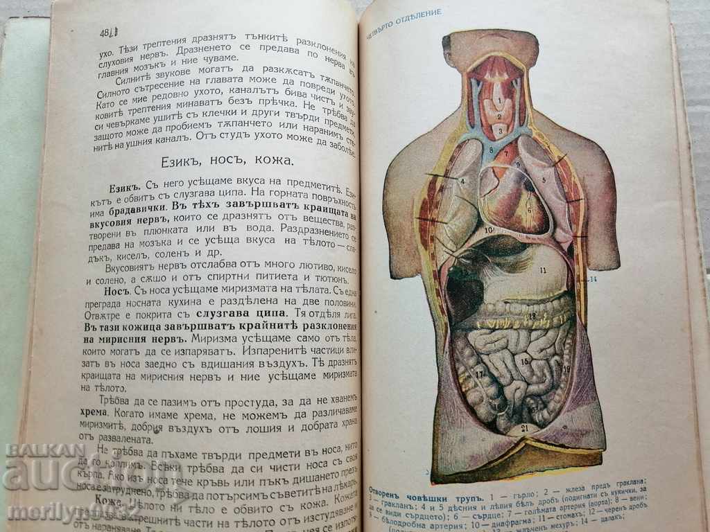 Delivery of Book Textbook Natural Science Kingdom of Bulgaria