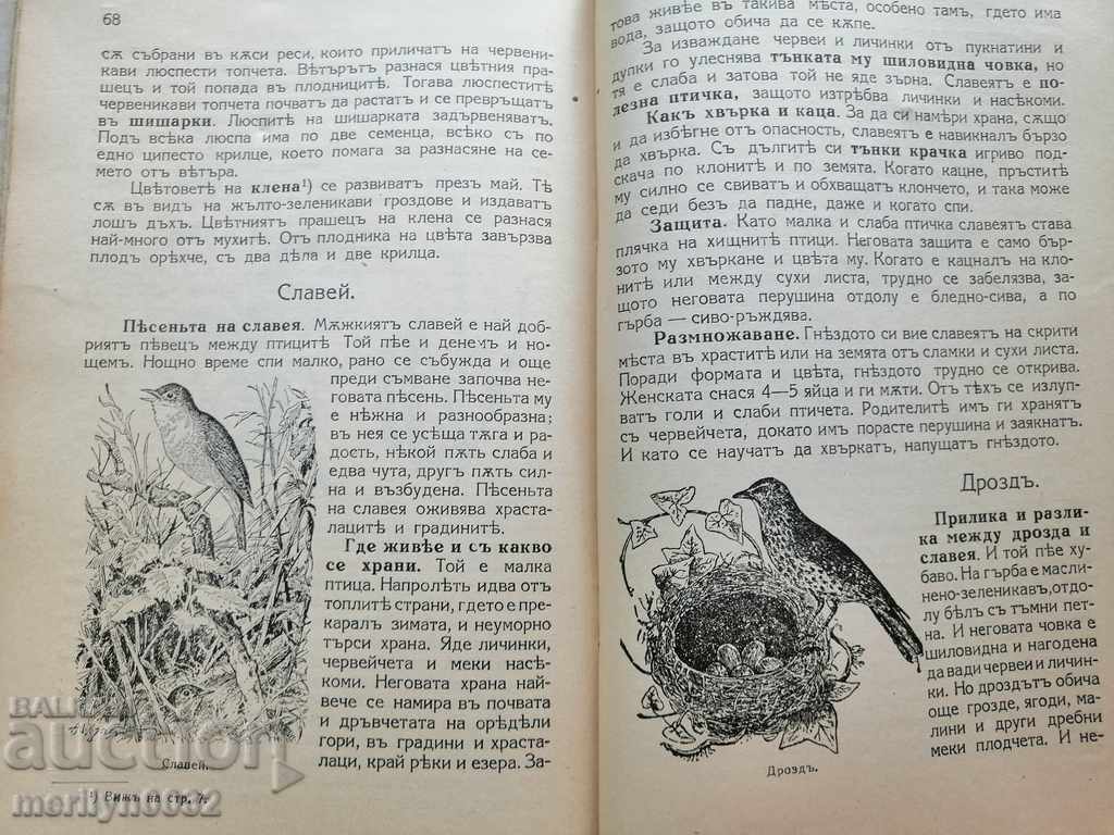 Book Textbook Natural Science Kingdom of Bulgaria - 6