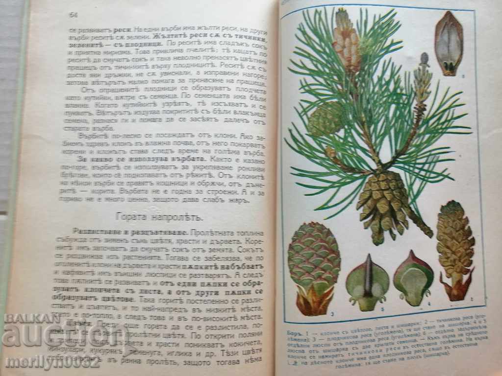Book Textbook Natural Science Kingdom of Bulgaria - 7