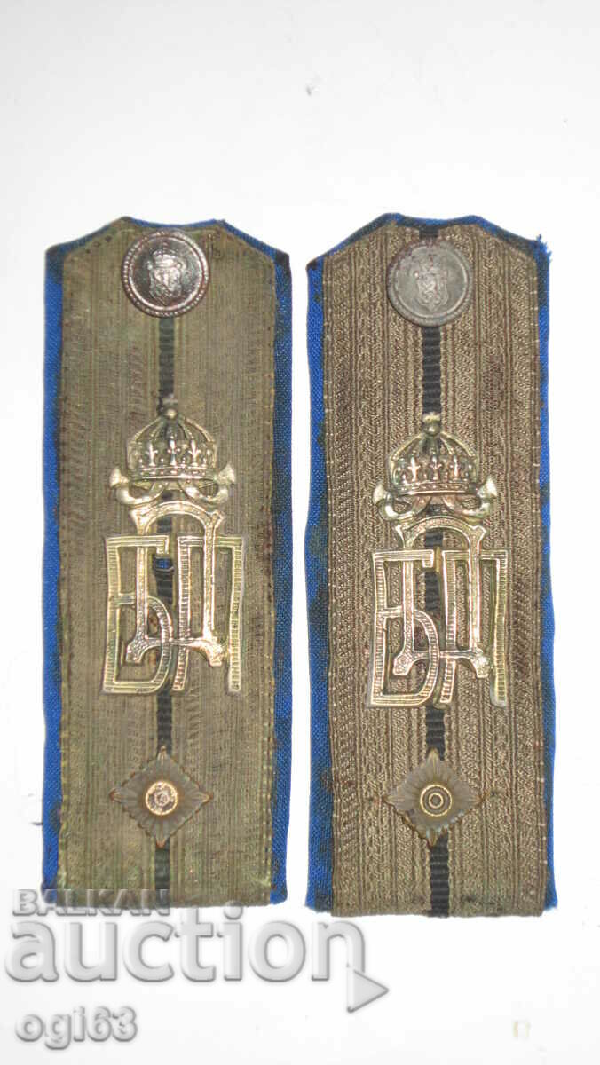 Royal epaulettes 11