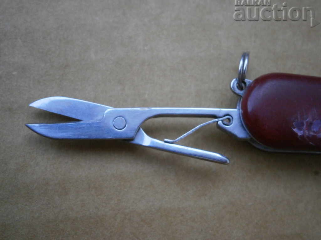 Auction mini knife leg Auction mini knife leg