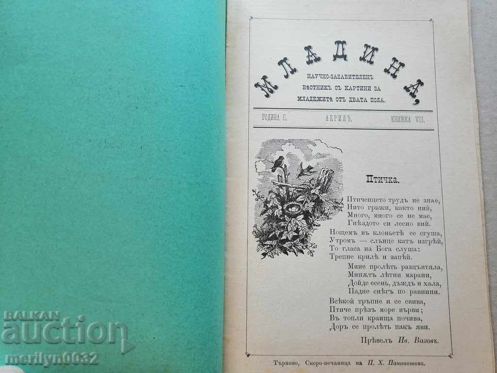 Very rare children's magazine Mladina 1892 with price 64.00 BGN | € 32.72 Very rare children's magazine Mladina 1892 with price 64.00 BGN | € 32.72