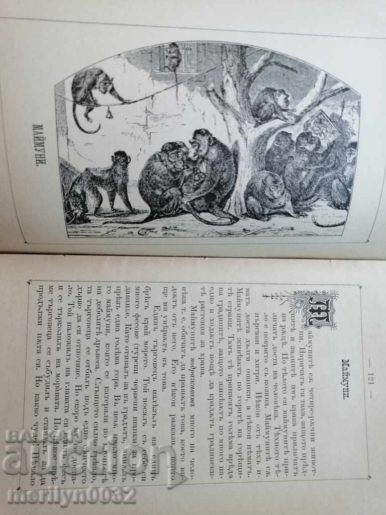 Auction Very rare children's magazine Mladina 1892 Auction Very rare children's magazine Mladina 1892