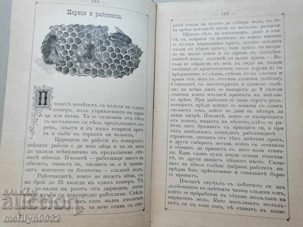 Auction Very rare children's magazine Mladina 1892 Auction Very rare children's magazine Mladina 1892