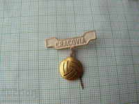 Badge - CRACOVIA Football Club Poland