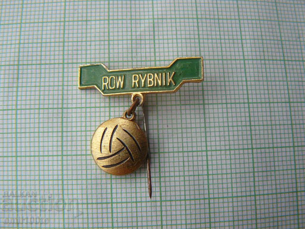 Σήμα - ROW RYBNIK Football Club Πολωνία