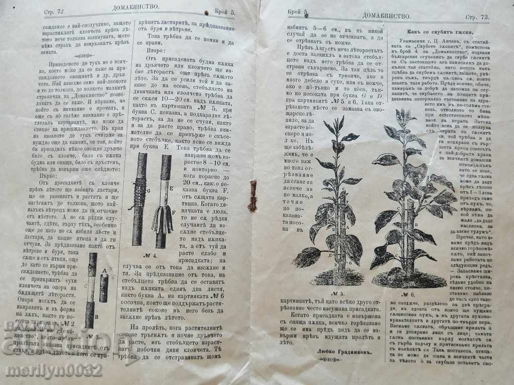 Delivery of Very rare magazine Household 1903 Delivery of Very rare magazine Household 1903