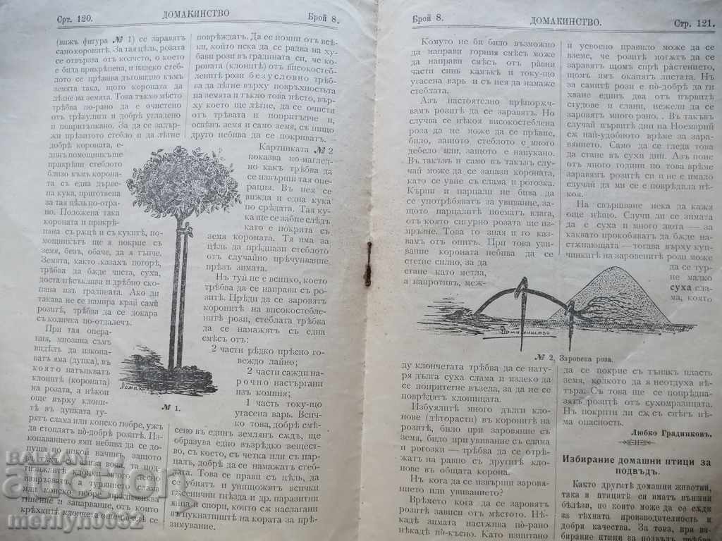 Πολύ σπάνιο περιοδικό νοικοκυριών 1903 - 5 Πολύ σπάνιο περιοδικό νοικοκυριών 1903 - 5