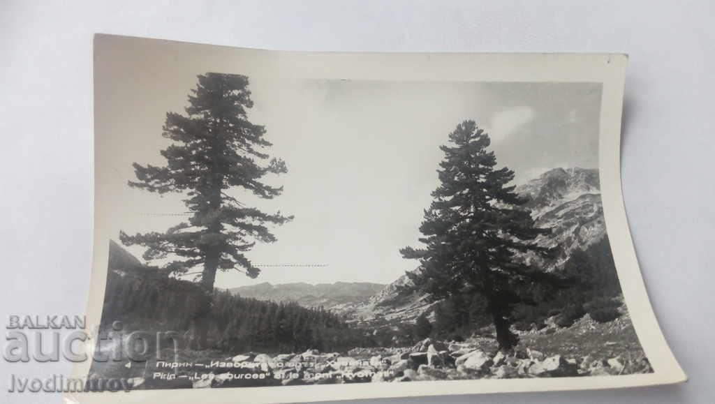 Пощенска картичка Пирин Изворите с връх Хвойната