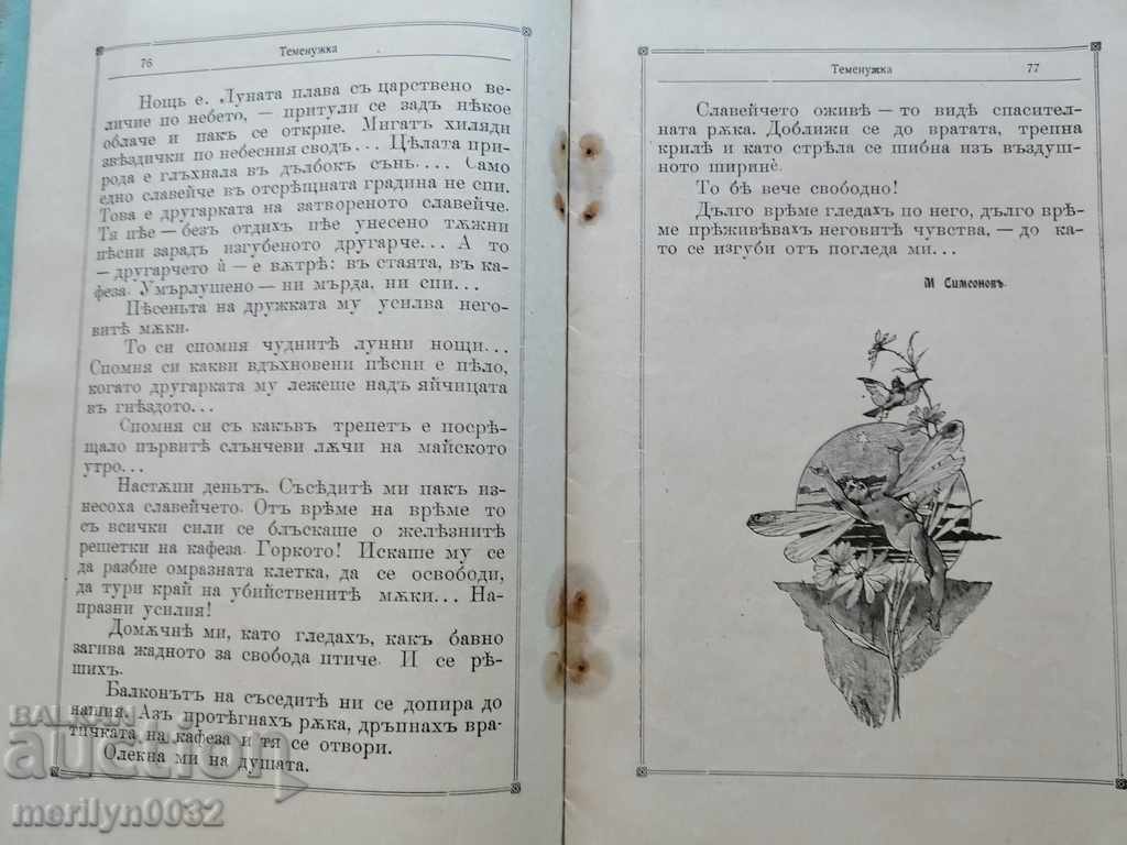 Very rare children's magazine Temenuzhka 1909 - 5