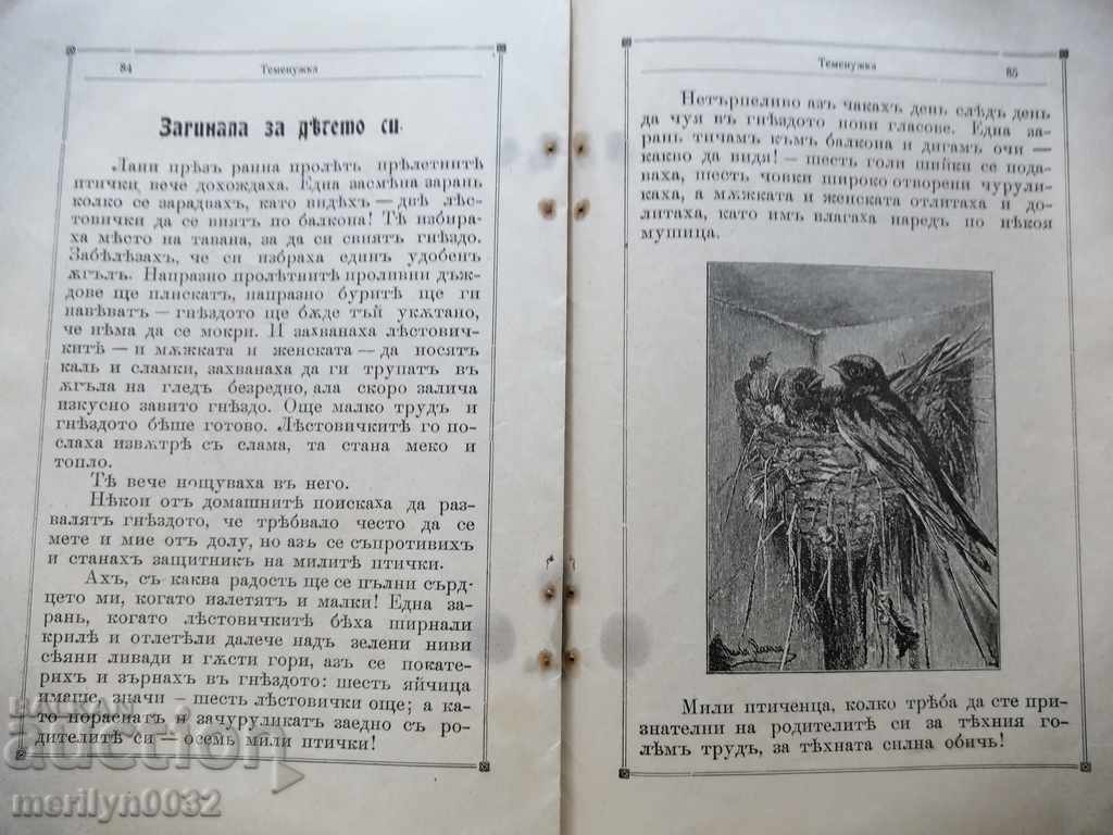 Very rare children's magazine Temenuzhka 1909 - 6