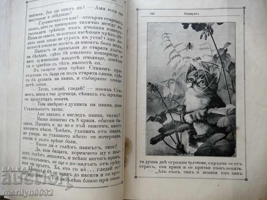 Very rare children's magazine Temenuzhka 1909 - 5 Very rare children's magazine Temenuzhka 1909 - 5