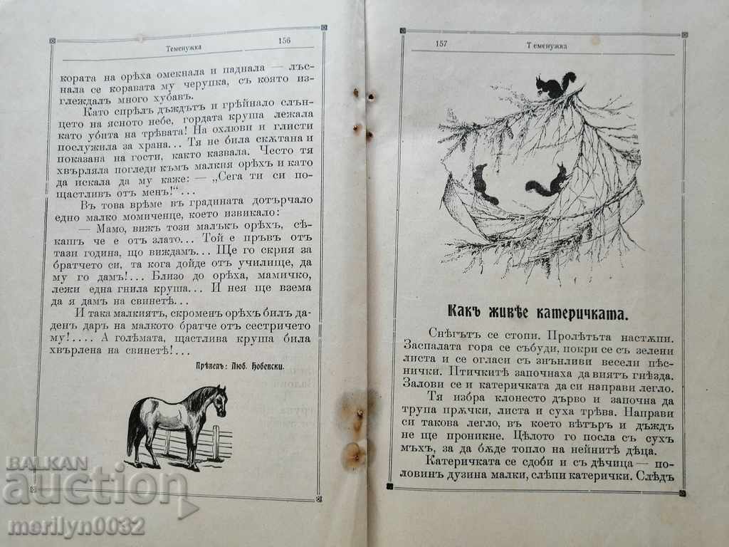 Very rare children's magazine Temenuzhka 1909 - 6 Very rare children's magazine Temenuzhka 1909 - 6