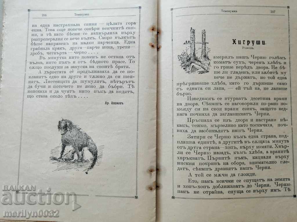 Very rare children's magazine Temenuzhka 1909 - 5 Very rare children's magazine Temenuzhka 1909 - 5