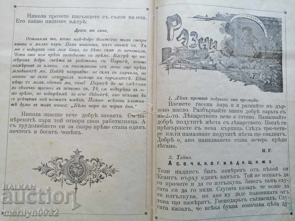 Very rare children's magazine Mladina 1892 - 6