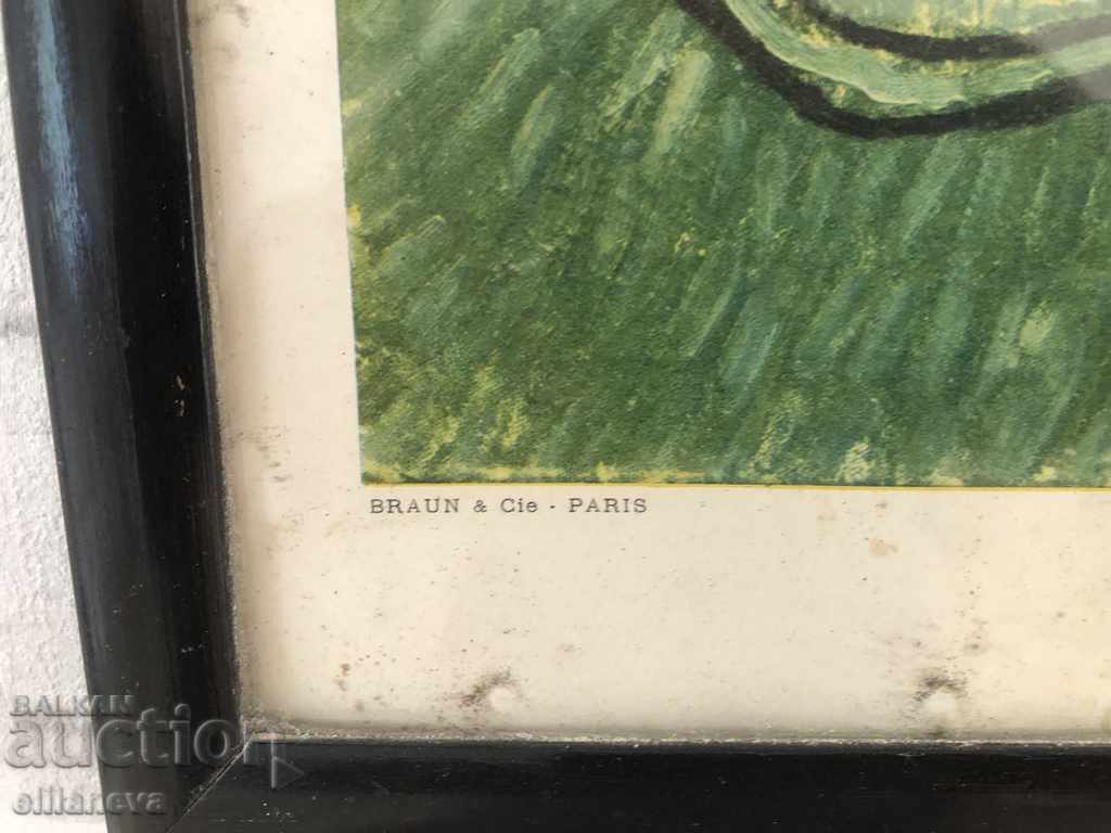 Auction reproduction Van Gogh by Paul Rosenberg Paris 1928 350 / 300mm Auction reproduction Van Gogh by Paul Rosenberg Paris 1928 350 / 300mm