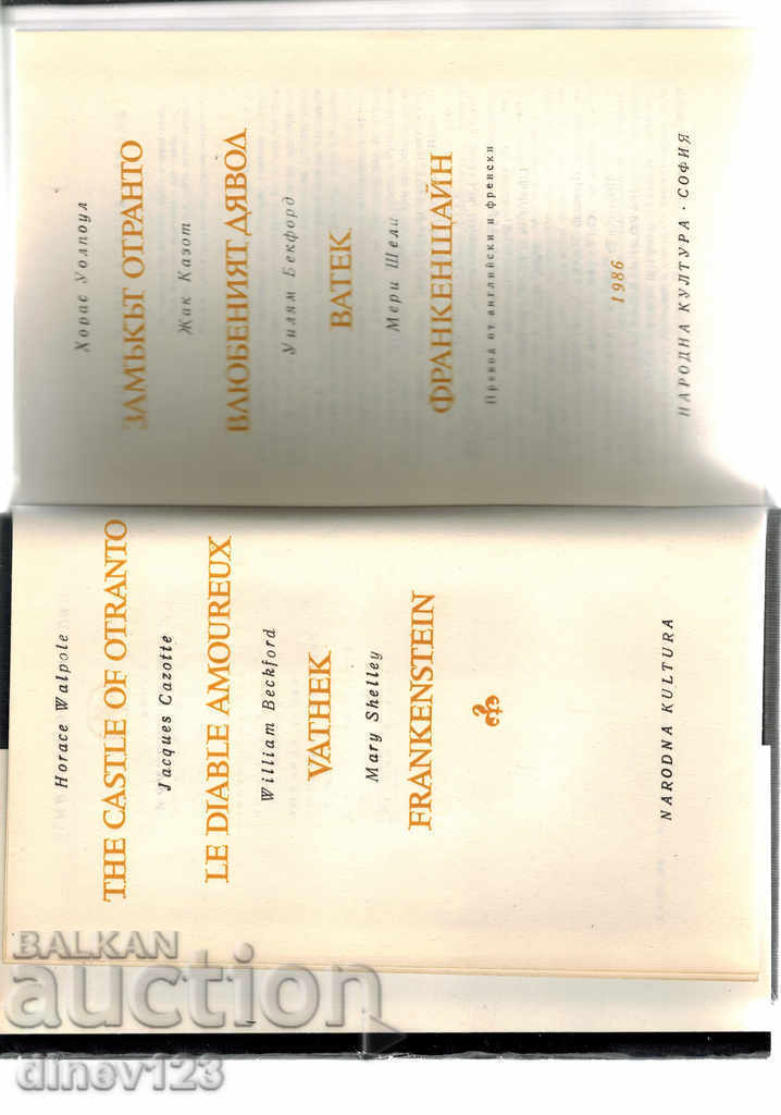 Auction GOTHIC NOVELS - FRANKENSTEIN, ETC. Auction GOTHIC NOVELS - FRANKENSTEIN, ETC.