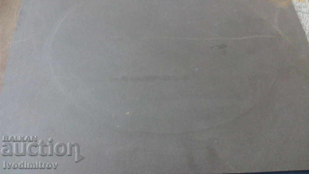 Auction Photo The whole Family Cardboard Auction Photo The whole Family Cardboard