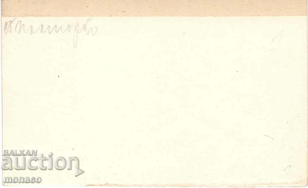 Old postcard - V. Kolarov Resort, General view with price 1.60 BGN | € 0.82 Old postcard - V. Kolarov Resort, General view with price 1.60 BGN | € 0.82