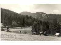 Old postcard - Rhodopes, Persenk peak