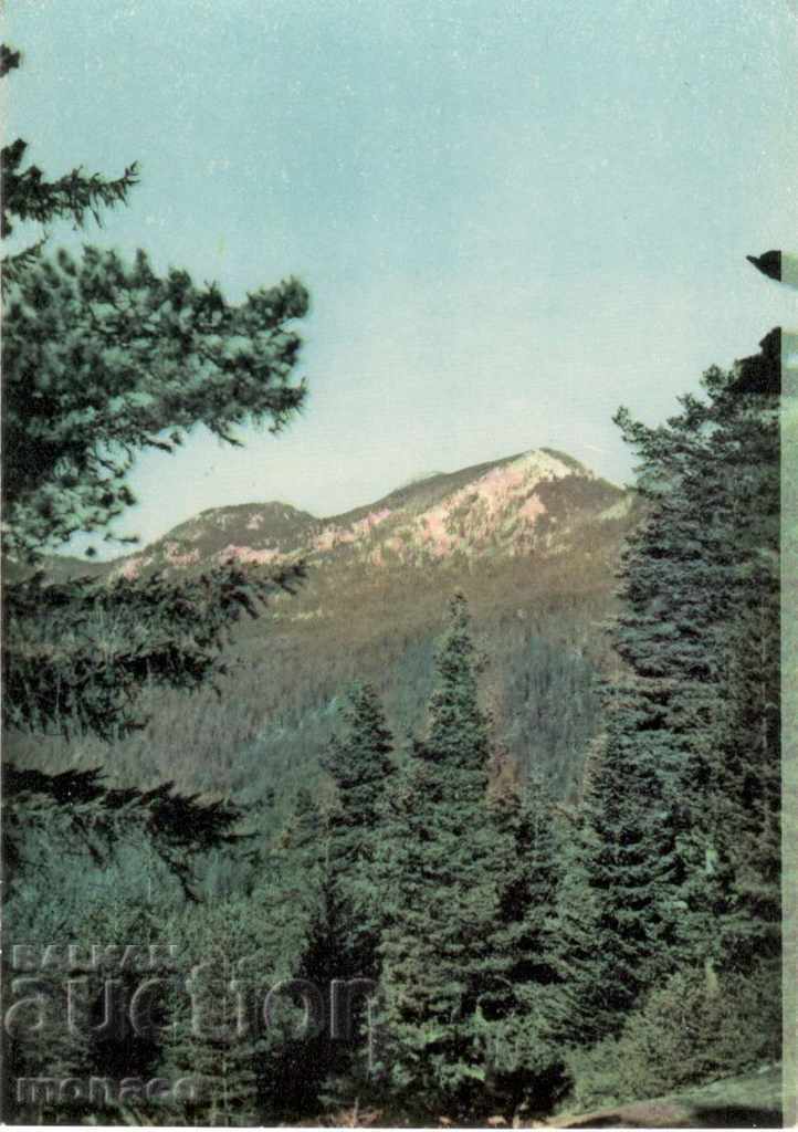 Old postcard - Rhodopes, peak "Malak Persenk"