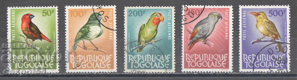 1964-65. Того. Птици.