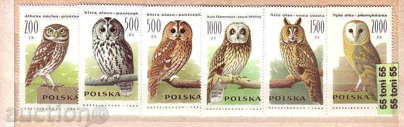 Πολωνία 1990 πανίδα -Ptitsi / κουκουβάγιες 6 σημάδια καθαριστικό
