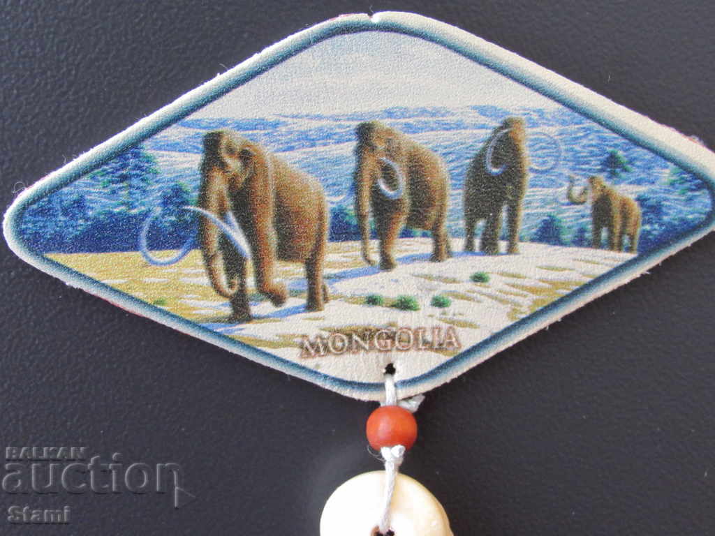 Auction Genuine leather magnet from Mongolia-32 series Auction Genuine leather magnet from Mongolia-32 series