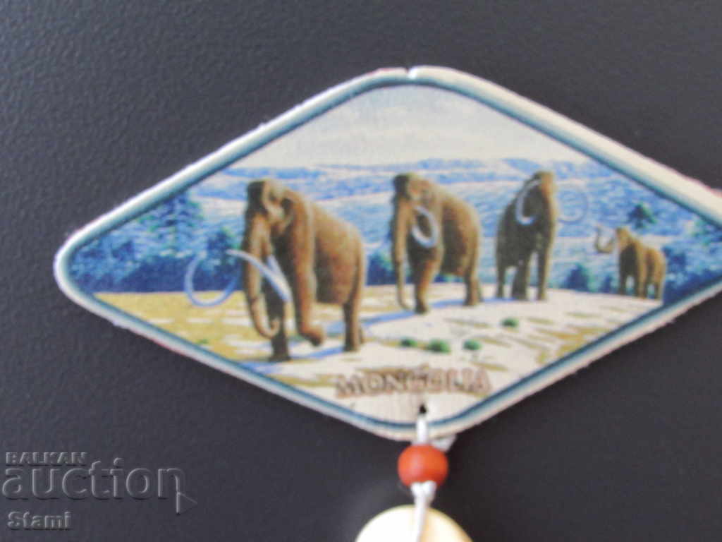 Delivery of Genuine leather magnet from Mongolia-32 series Delivery of Genuine leather magnet from Mongolia-32 series