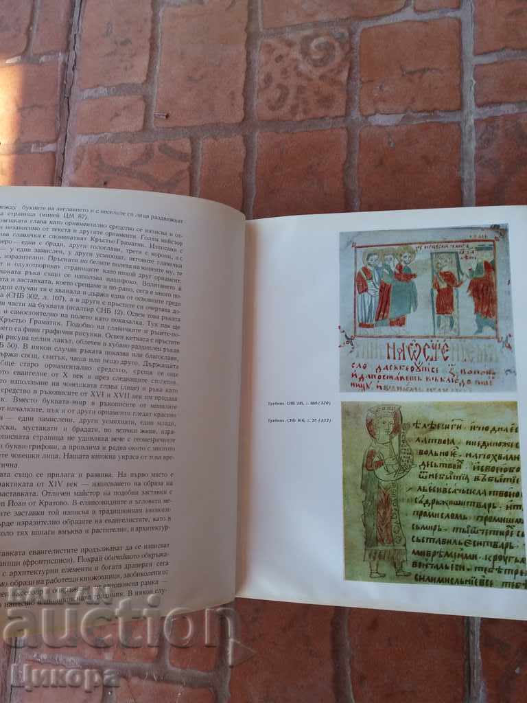 BOOK ALBUM DECORATION OF SLAVIC MUSHROOMS IN BULGARIA - 7 BOOK ALBUM DECORATION OF SLAVIC MUSHROOMS IN BULGARIA - 7