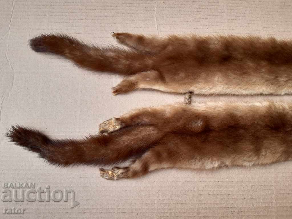 Leather collar - squirrel, mink, goldfinch with price 20.00 BGN | € 10.23 Leather collar - squirrel, mink, goldfinch with price 20.00 BGN | € 10.23