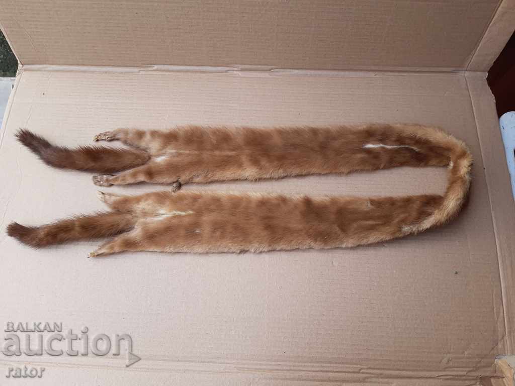 Delivery of Leather collar - squirrel, mink, goldfinch Delivery of Leather collar - squirrel, mink, goldfinch
