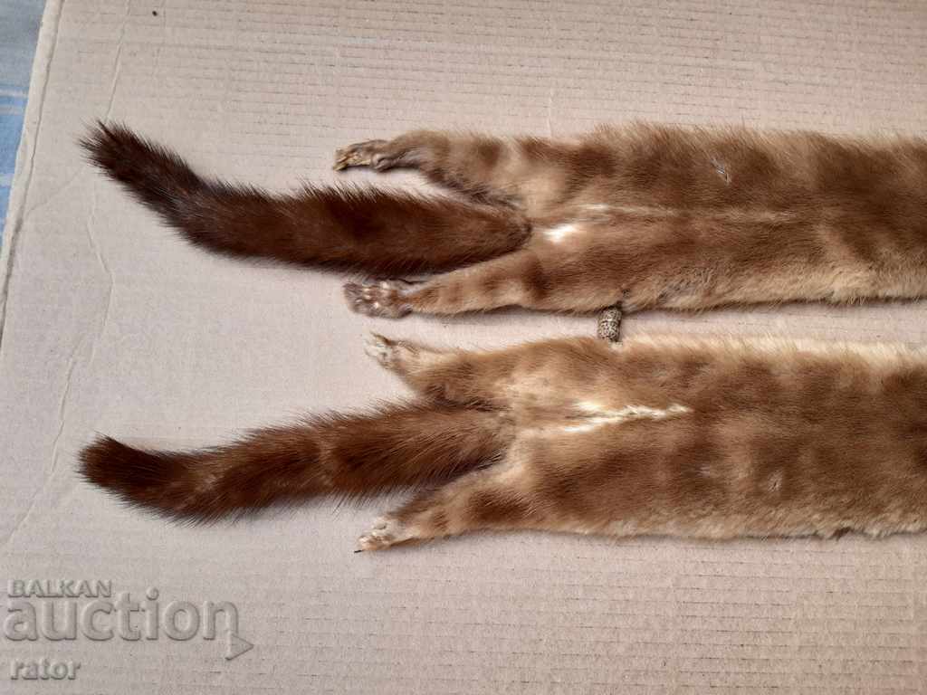 Leather collar - squirrel, mink, goldfinch - 5 Leather collar - squirrel, mink, goldfinch - 5