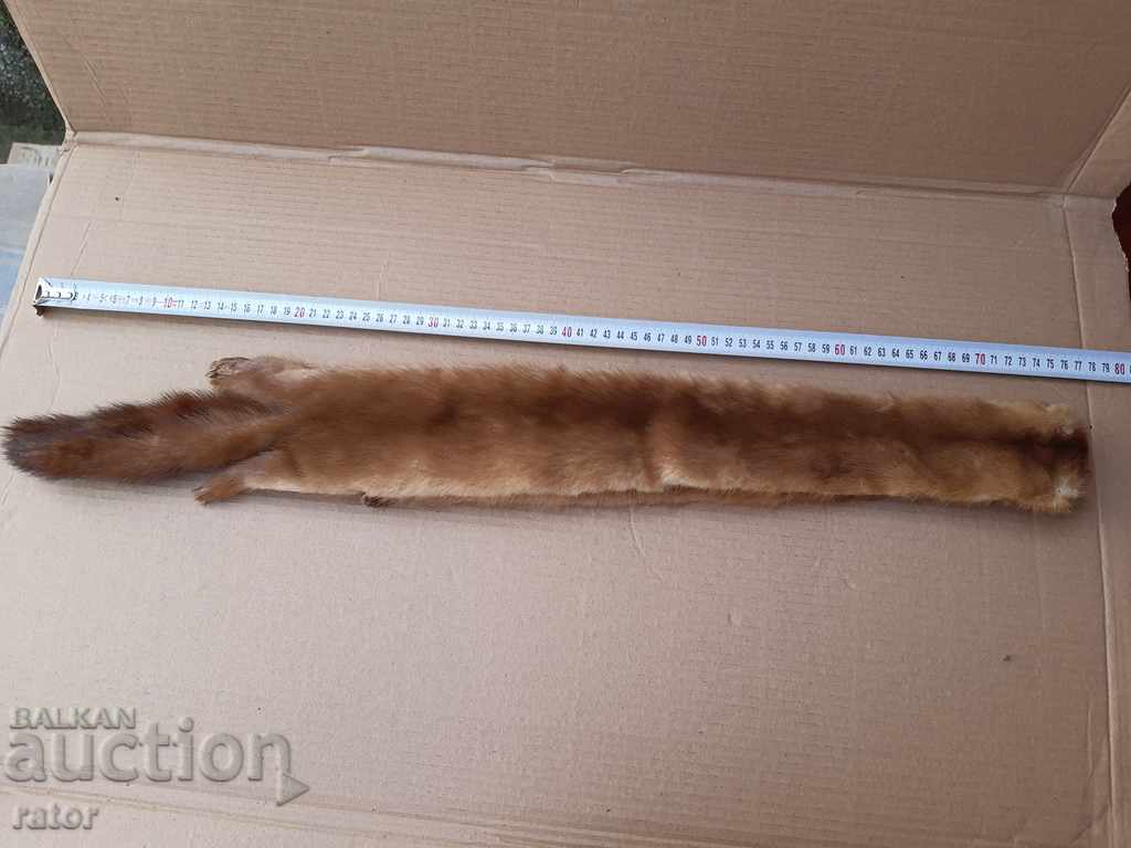 Leather collar - squirrel, mink, goldfinch - 7 Leather collar - squirrel, mink, goldfinch - 7