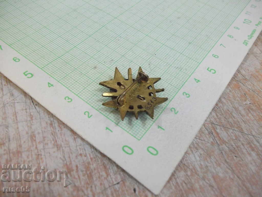 Ordinul ofițerilor emailat în miniatură „Pentru curaj” - 6 Ordinul ofițerilor emailat în miniatură „Pentru curaj” - 6