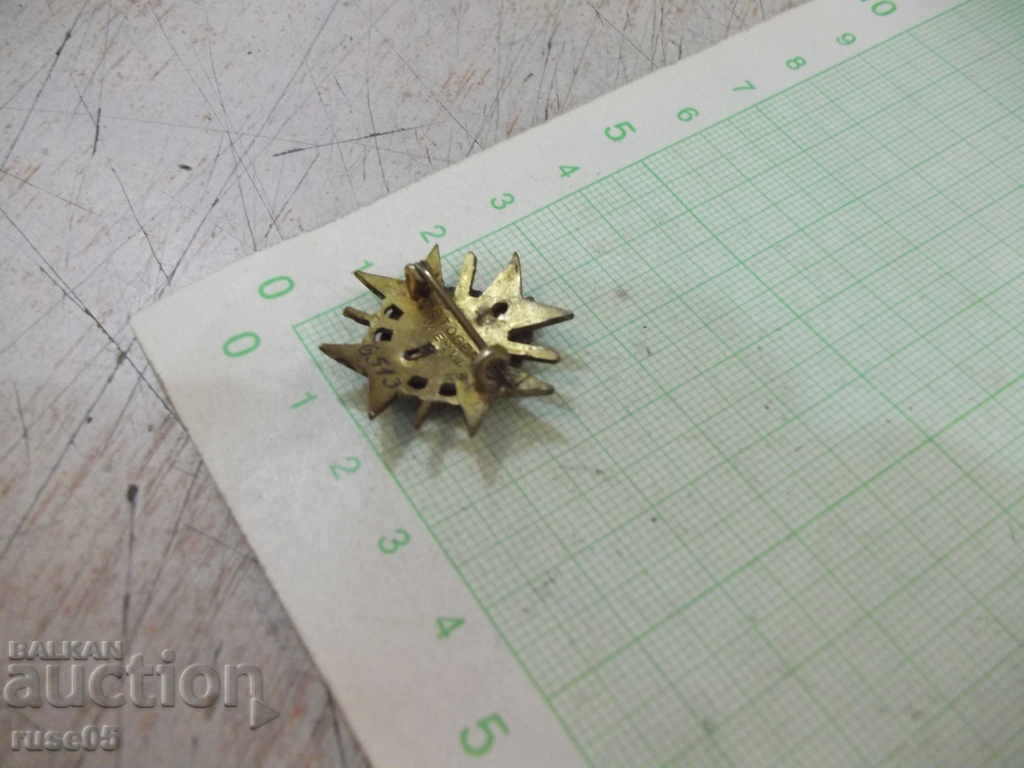 Ordinul ofițerilor emailat în miniatură „Pentru curaj” - 7 Ordinul ofițerilor emailat în miniatură „Pentru curaj” - 7