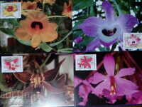 България - орхидеи, комплект карти максимум