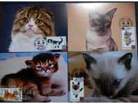 Bulgaria - domestic cats, set of cards maximum