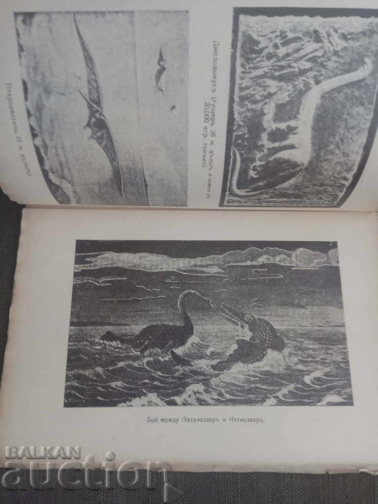 Δημοπρασία Από πού προερχόμαστε; Ηγούμενος Τ. Moreau Δημοπρασία Από πού προερχόμαστε; Ηγούμενος Τ. Moreau