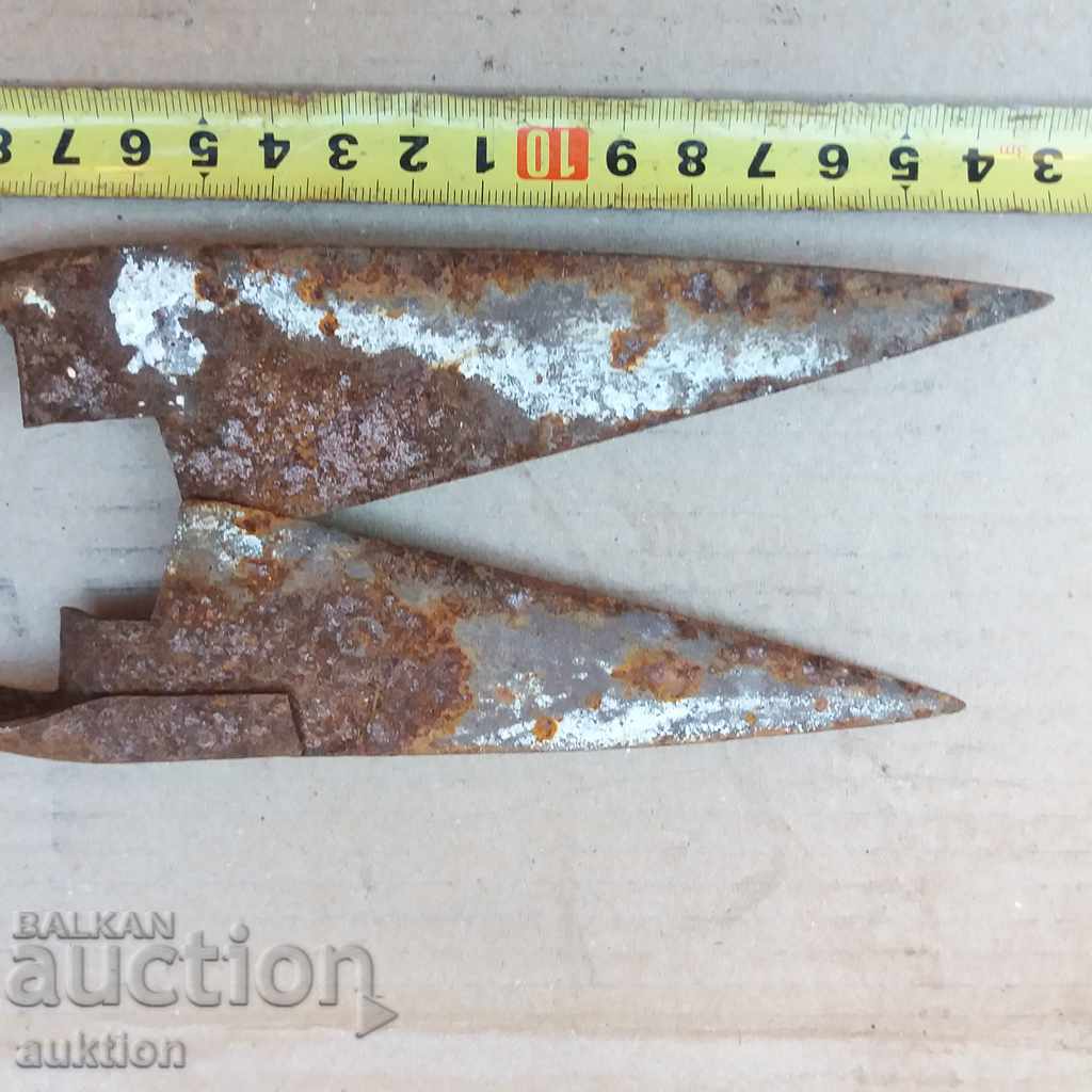 Auction STAR HORSES HANDLE FOR SHEEPING THE SHEEP Auction STAR HORSES HANDLE FOR SHEEPING THE SHEEP