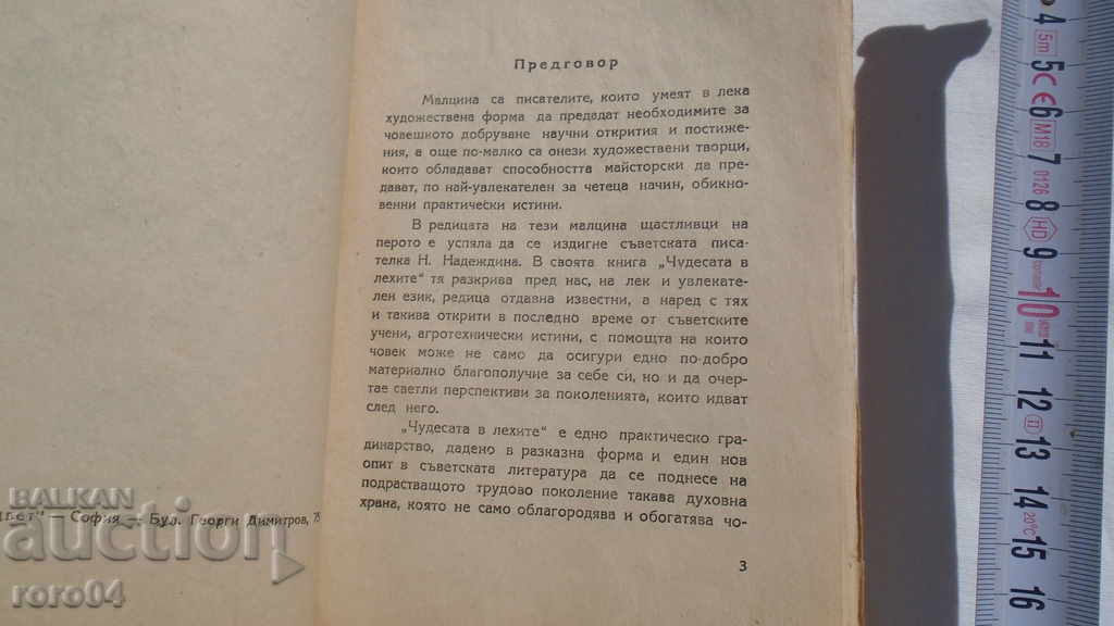 Auction THE MIRACLES IN THE BEDS - N. NADEZHDINA Auction THE MIRACLES IN THE BEDS - N. NADEZHDINA