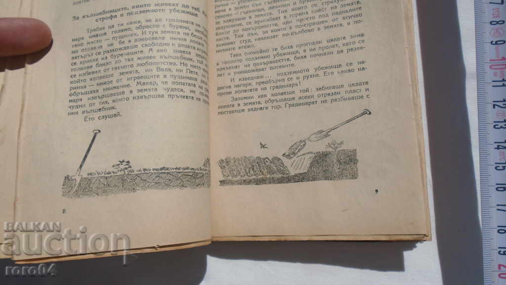 Delivery of THE MIRACLES IN THE BEDS - N. NADEZHDINA Delivery of THE MIRACLES IN THE BEDS - N. NADEZHDINA